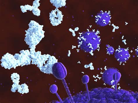 Anti-HIV Antibodies Generated through Computationally Designed Epitopes