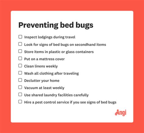 Top 10 Bed Bug Prevention Tips: How to Keep Your Home Infestation-Free - Huffington News