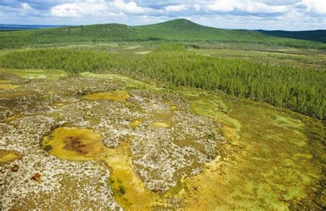 Tunguska Event: Was a mysterious blast caused by aliens? | 7NEWS