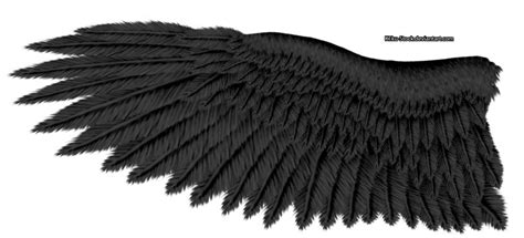 Eagle Wings Transparent Image