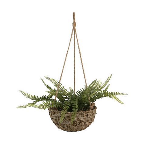 Hanging Fern Basket - Anko.com | Hanging fern, Basket decoration, Large decor