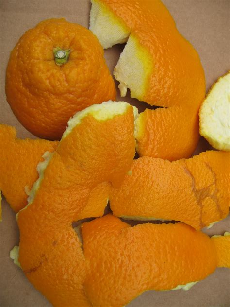 Uses of orange peel | Plant-Lore