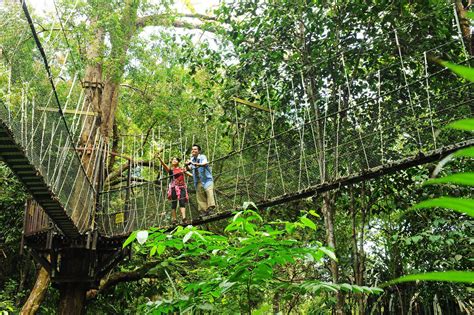 Malaysia's National Parks and Nature Reserves