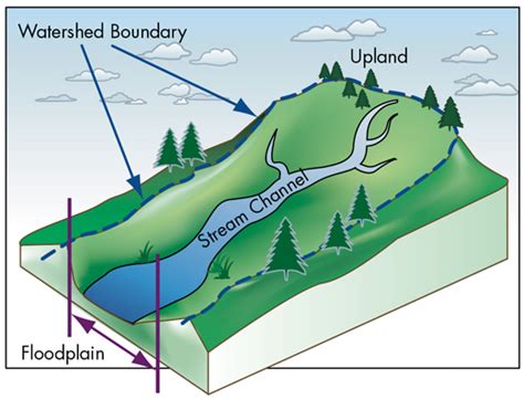 Floodplain Diagram