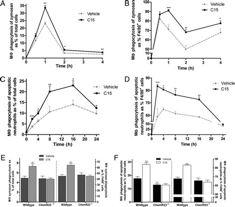C15 enhances MF phagocytosis of zymosan and apoptotic neutrophils... | Download Scientific Diagram
