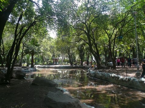 Mexico Park, Mexico City, Mexico. | Travel memories, Mexico, Mexico city
