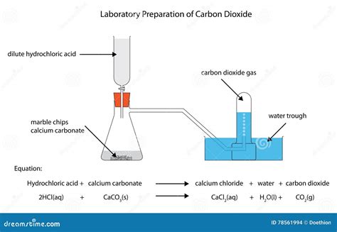 Diagramme De La Préparation De Laboratoire Du Dioxyde De Carbone ...