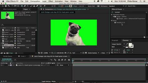 Adobe after effects green screen - masaamerica