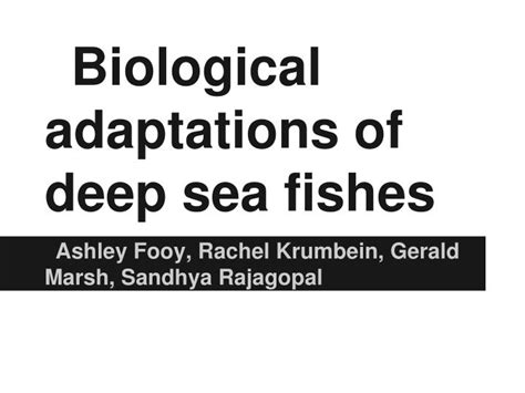 PPT - Biological adaptations of deep sea fishes PowerPoint Presentation - ID:1719892