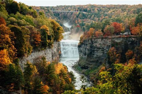 Vibrant Letchworth State Park Fall Foliage | Letchworth Fall Guide ...