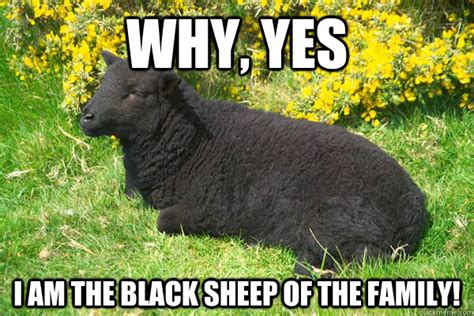 Why, Yes I am the black sheep of the family! - Misc - quickmeme