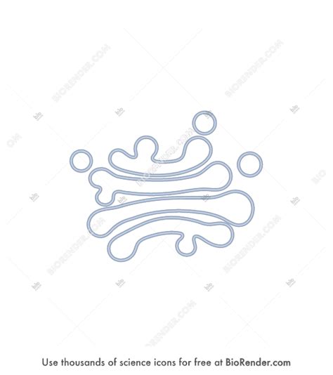 Free Golgi apparatus membrane (budding) Icons, Symbols & Images | BioRender