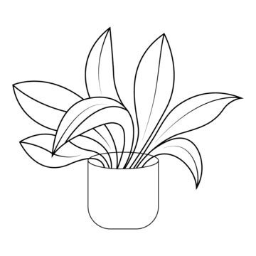 Indoor Plant Potted Plants PNG Transparent Images Free Download ...