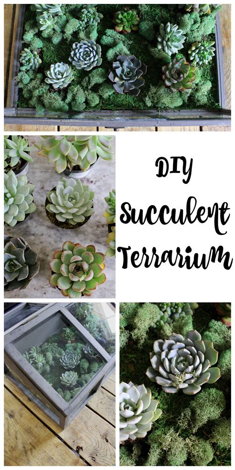 DIY Succulent Terrarium - 2 Bees in a Pod