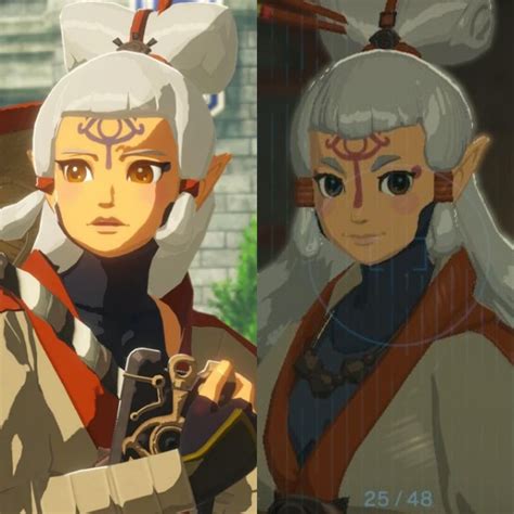 [BoTW][AoC] When I first played Age Of Calamity I thought Impa was Paya ...