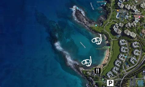 Snorkeling Kapalua Bay Beach, Maui: 2 Coral Reefs You'll Love!