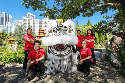 Lion dancers roar to success at Sydney Lunar Festival | City of Sydney ...