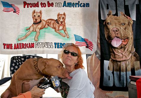 Animal Planet: How Tia Torres Launched 'Pitbulls and Parolees'