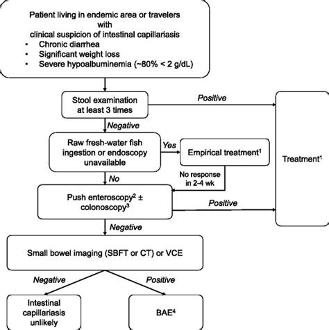 Proposed algorithm for diagnosis of intestinal capillariasis....