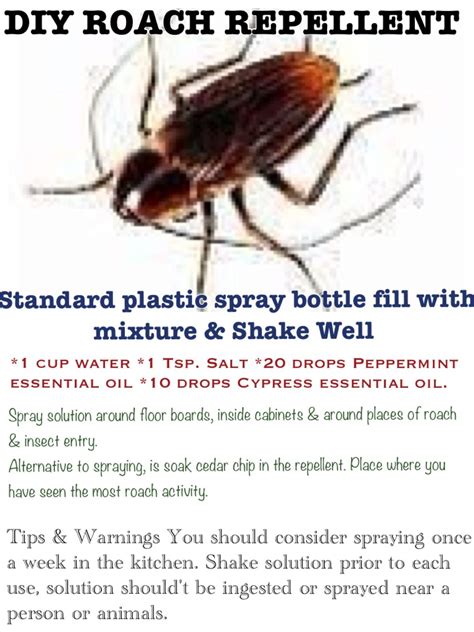 Pin by phyllis seligman on diy | Pest control roaches, Diy pest control, Repellent