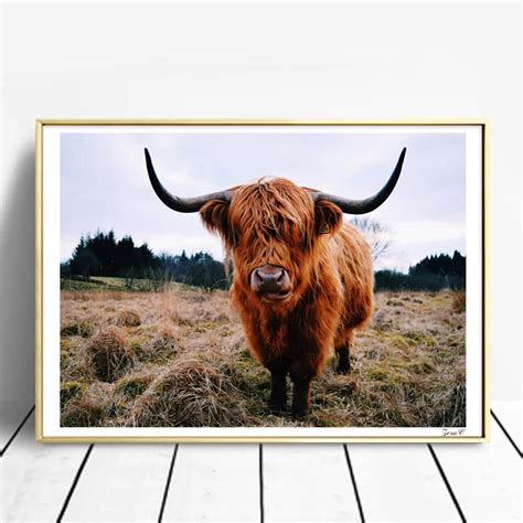 Highland Cow Canvas Art Posters and Prints Wall Art Painting Wall ...