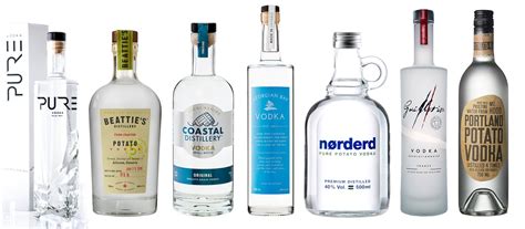 10 Best Vodka Brands for Your Bar