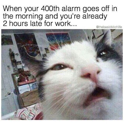 30 Funny Work Memes for Any Office Situation — Best Life