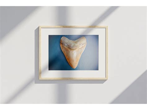 Megalodon Tooth Painting indonesian Wide printable Decor, Watercolor Sea-life Art, Sharks ...