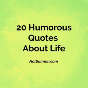 20 Humorous Quotes About Life - Karen Salmansohn