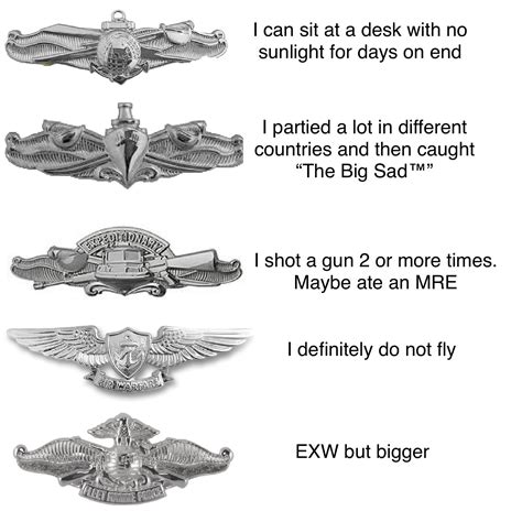 Warfare Pins and what they really mean. : r/navy