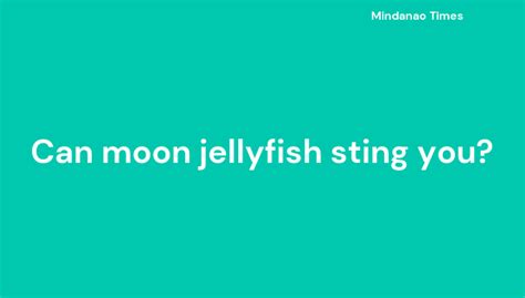 Can moon jellyfish sting you?