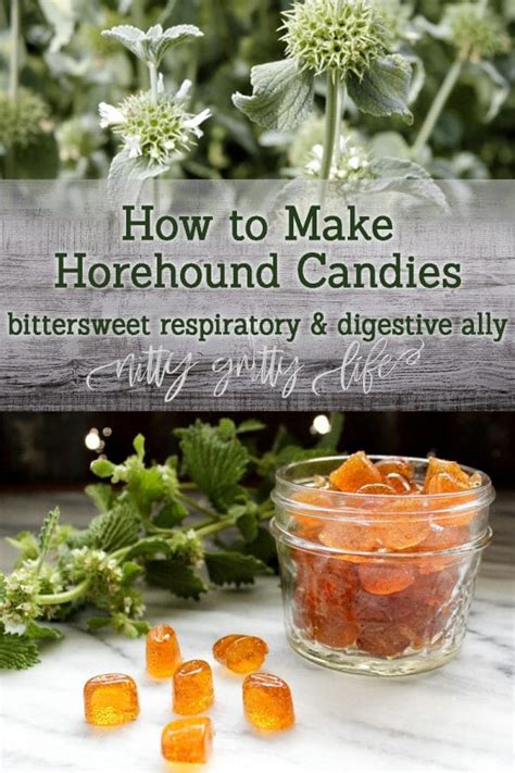 How to Make Horehound Candy & Why You Should Love This Bitter Herb