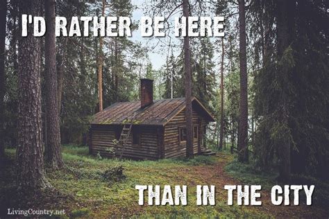 Funny Quotes From Cabin In The Woods - ShortQuotes.cc