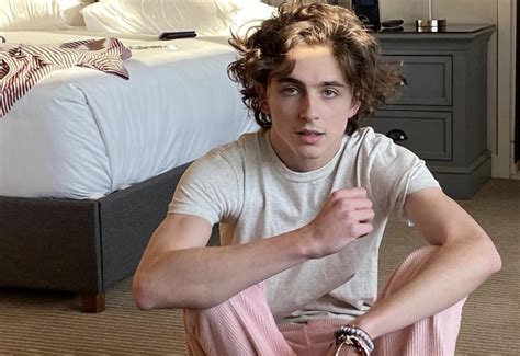 Timothée Chalamet : il se confie sur son fougueux baiser avec Lily-Rose ...