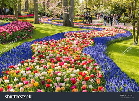 Keukenhof Park Netherlands Stock Photo 277574795 - Shutterstock