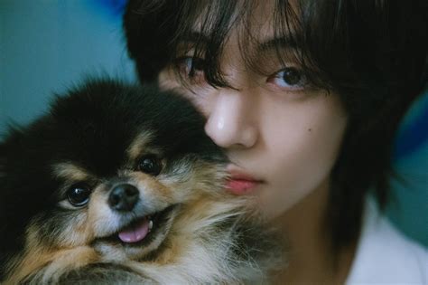 BTS V's Dog Yeontan Takes Spotlight In New 'Layover' Teaser Photos ...