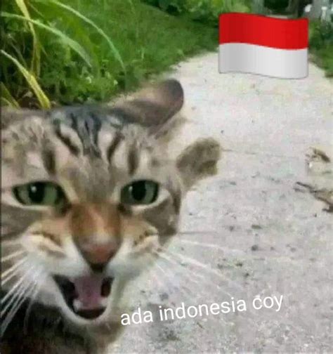 7 Meme Ada Indonesia Coy Versi Netizen, Kamu Begini Juga?