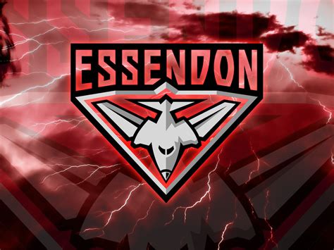 essendon - Google Search | Essendon football club, Arizona logo, Football