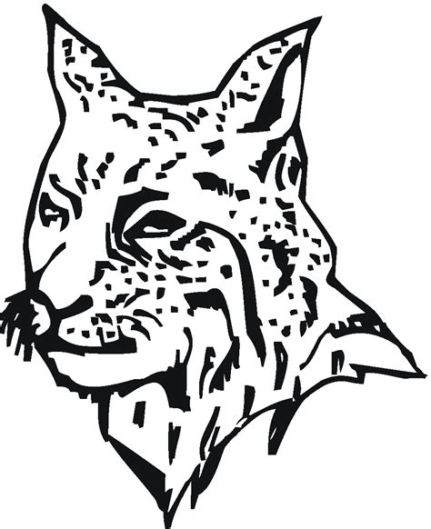 Bobcat Face Drawing at GetDrawings | Free download