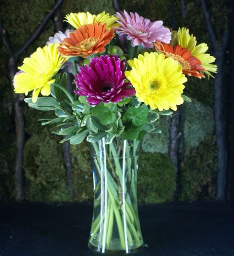 Gerbera Daisy Arrangement - Flower Mart