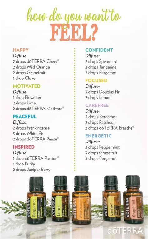 Essential Oils | Candace Playforth | Terra essential oils, Doterra essential oils recipes ...