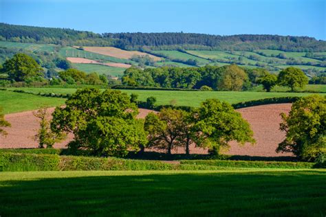 East Devon : Countryside Scenery © Lewis Clarke :: Geograph Britain and Ireland