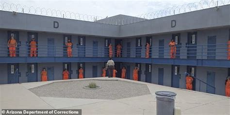 Prison medical officials in Arizona allegedly inducing labor in prisoners against their will ...