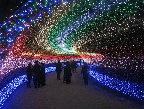 Japanese tunnel of light : r/pics