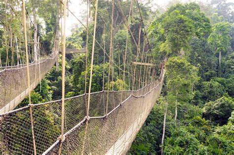 The Canopy Walkway of Kakum National Park - Ghana For 91 Days