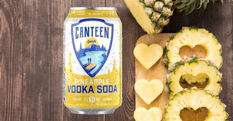 CANTEEN Pineapple Vodka Soda Review | Seltzer Nation