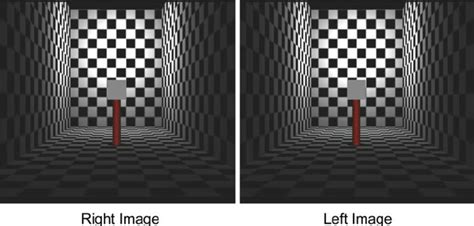 Stereo example of the scene. An example of the scene with pictorial ...