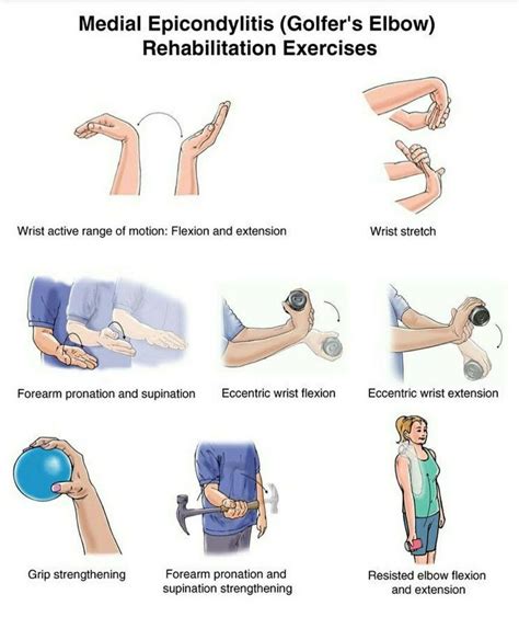 Medial Epicondylitis (Golfer's Elbow) Exercises - Forget-Me-Knot