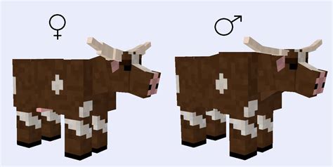 BovineCraft Mod - Bison, buffalos, yaks, and some cow breeds! [Moved ...