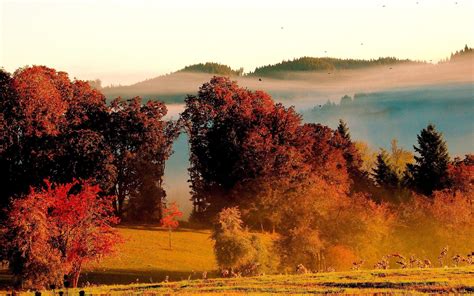 Eugene Oregon Fall Colors at King Estate Winery by Don Hankins ...